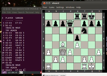screenshot of chess